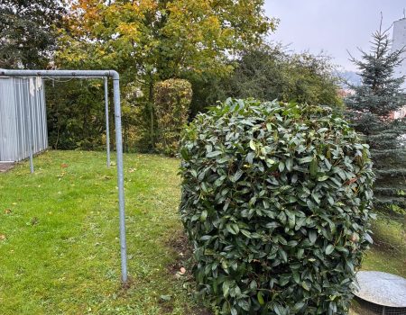 Grünschnitt grünpflege gartenfirma suhl patrice protze