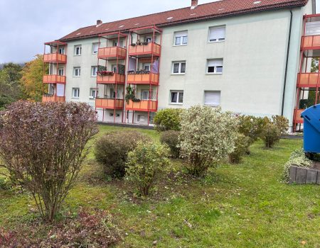 grünpflege rasen mähen hecke schneiden suhl firma