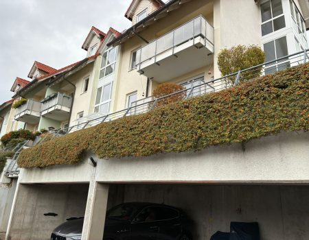 hecke schneiden suhl