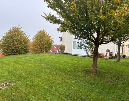 rasenmähen suhl patrice protze